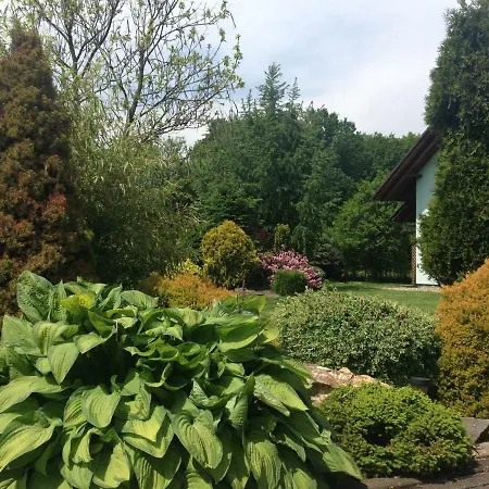 Svatava Guest house